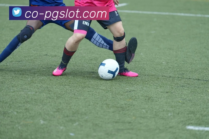 麻将胡了PG官网APP 体育赛事宣传图